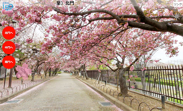 2021年造幣局　桜の通り抜けバーチャルツアーとドローン動画で大阪から世界を笑顔に！！