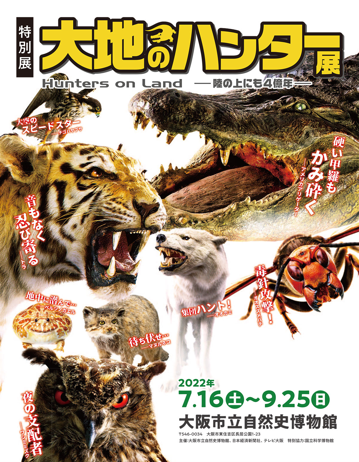 特別展「大地のハンター展」 Hunters On Land -陸の上にも4億年- 2022年7.16(土)～9.25(土) 大阪市立自然史博物館