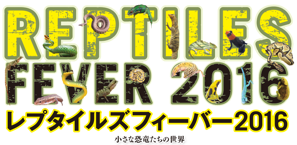 レプタイルズフィーバー16 小さな恐竜たちの世界