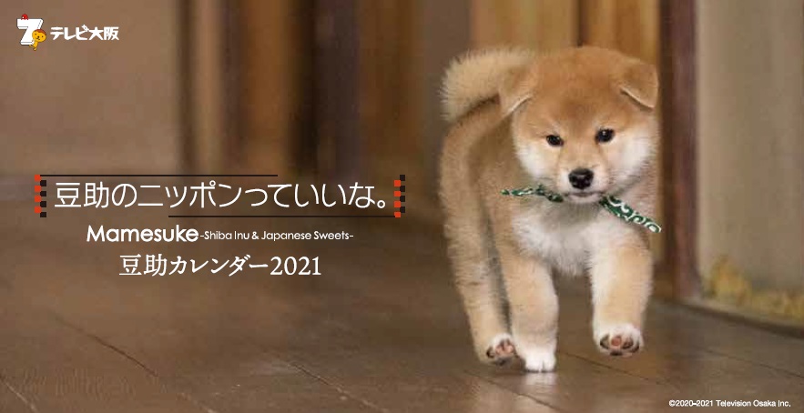 豆助のニッポンっていいな Mamesuke Shiba Inu Japanese Sweets 豆助カレンダー21 Twitterプレゼントキャンペーン実施中 Tvo テレビ大阪