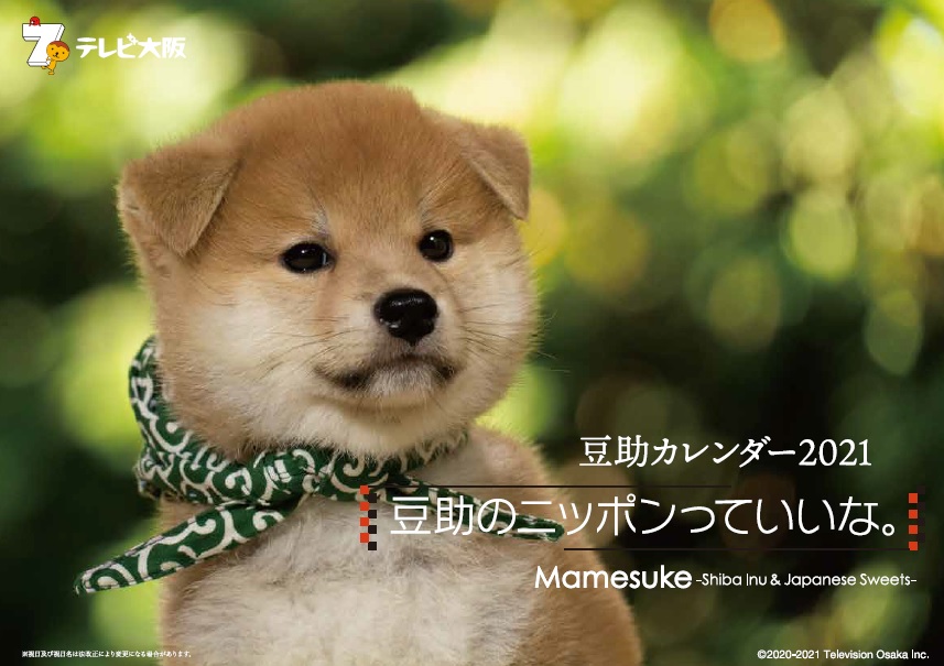 豆助のニッポンっていいな Mamesuke Shiba Inu Japanese Sweets 豆助カレンダー21 Twitterプレゼントキャンペーン実施中 Tvo テレビ大阪