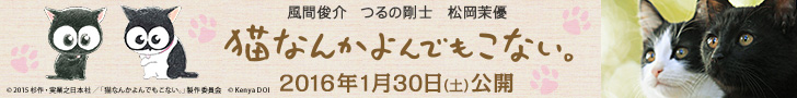 「猫なんてよんでもこない。」2016年1月30日(土)公開！