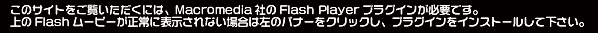 ̃TCgɂ́AMacromediaЂFlash PlayervOCKvłB Flash[r[ɕ\Ȃꍇ͍̃oi[NbNAvOCCXg[ĉB