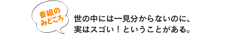 世の中には一見分からないのに、実はスゴい！ということがある。