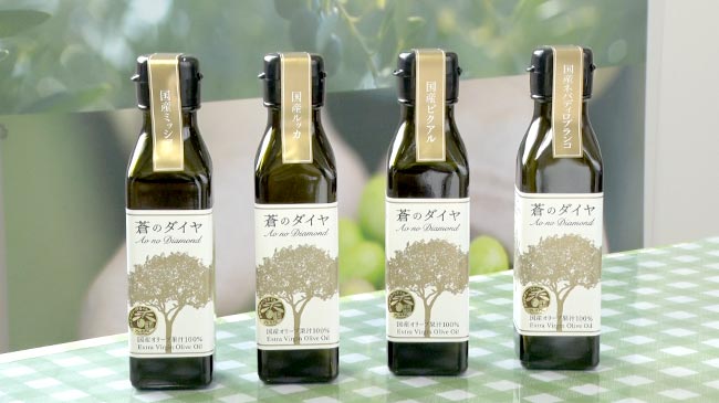 香川県 多度津町