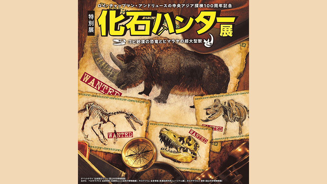 特別展「化石ハンター展～ゴビ砂漠の恐竜とヒマラヤの超大型獣～」