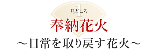 見どころ1：奉納花火～日常を取り戻す花火～