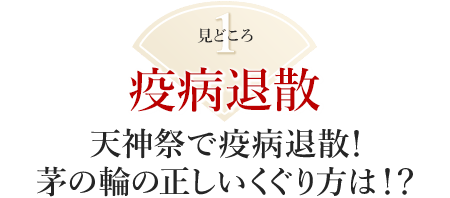 見どころ1：天神祭で疫病退散！茅の輪の正しいくぐり方は！？